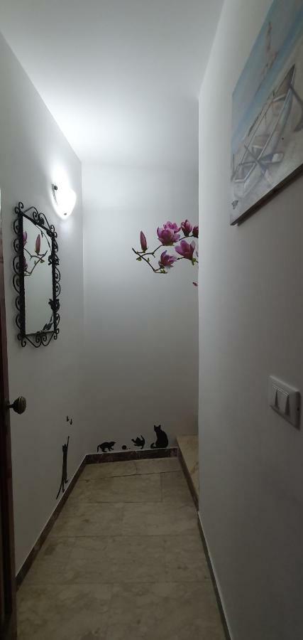 Casa Enrico Apartment Castelmola Ngoại thất bức ảnh